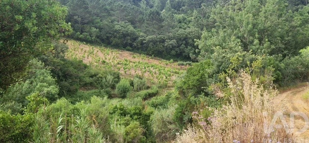 2 - venda terreno mafra região de lisboa portugal