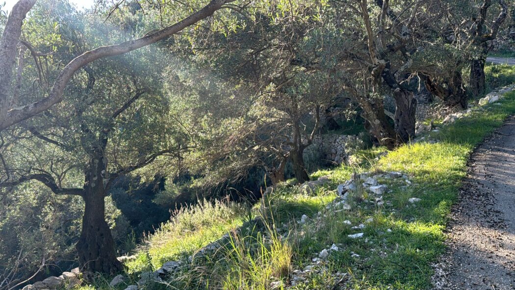 2 - vente terrain vue mer nissaki îles ioniennes grèce