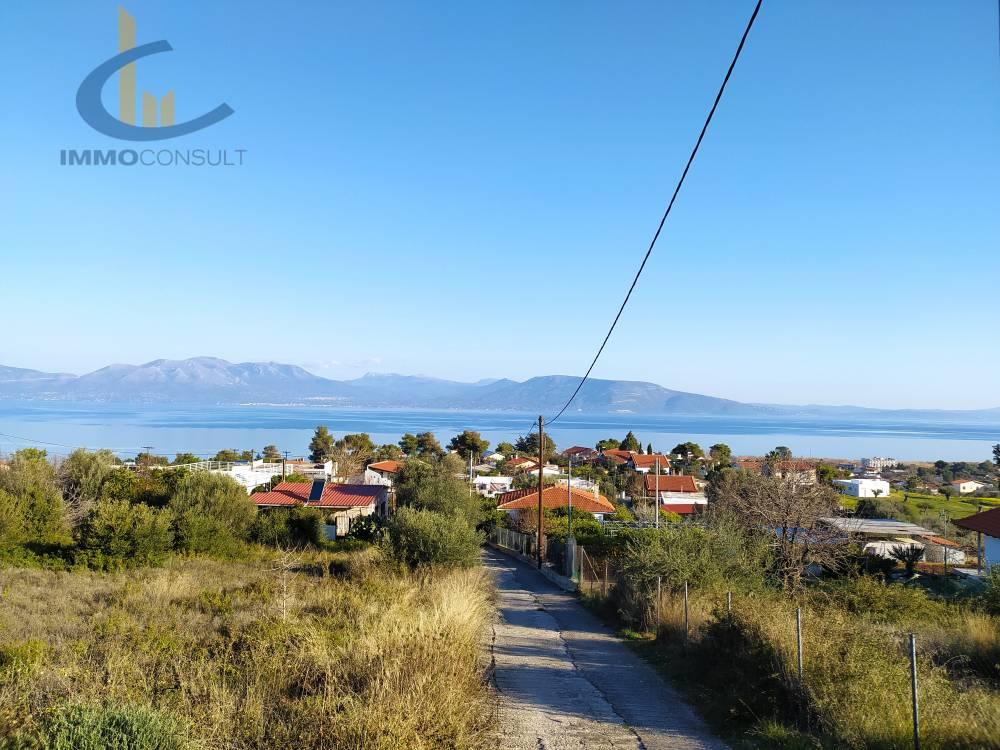 2 - vente terrain vue mer kalamos attique grèce