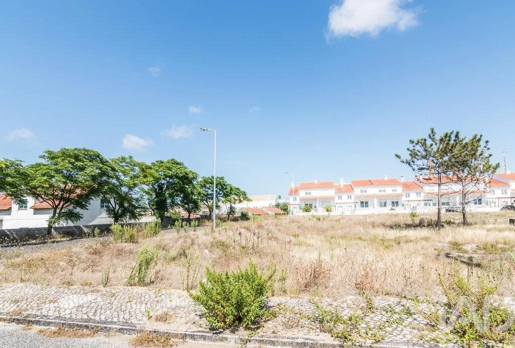 1 - vendita terreno vieira de leiria regione centro portogallo