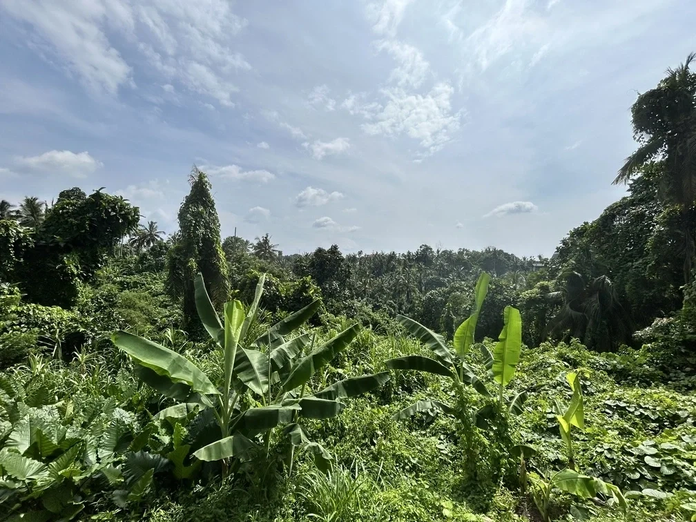 2 - venta villa ubud bali indonesia