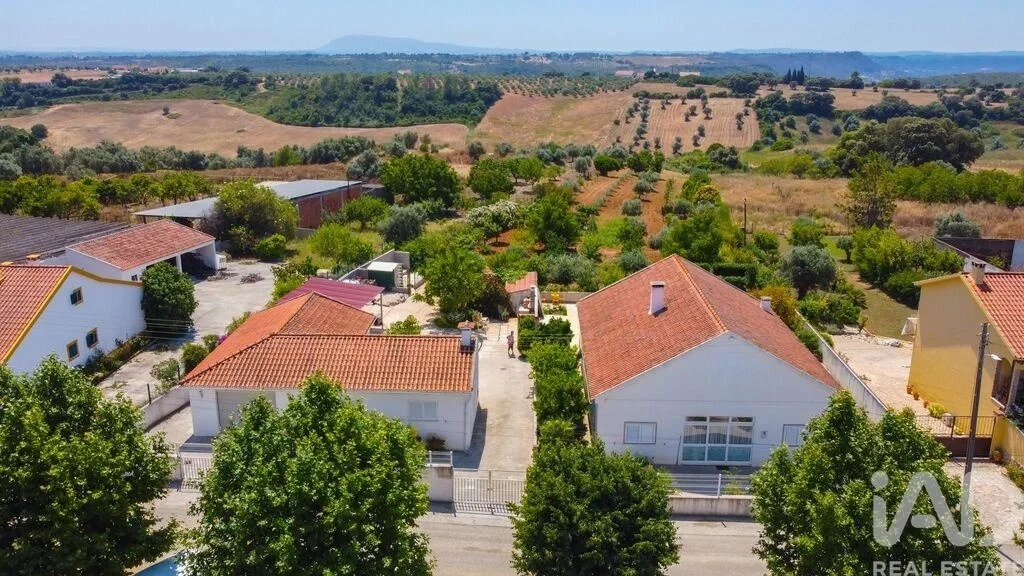 1 - villa for sale in santarém alentejo portugal