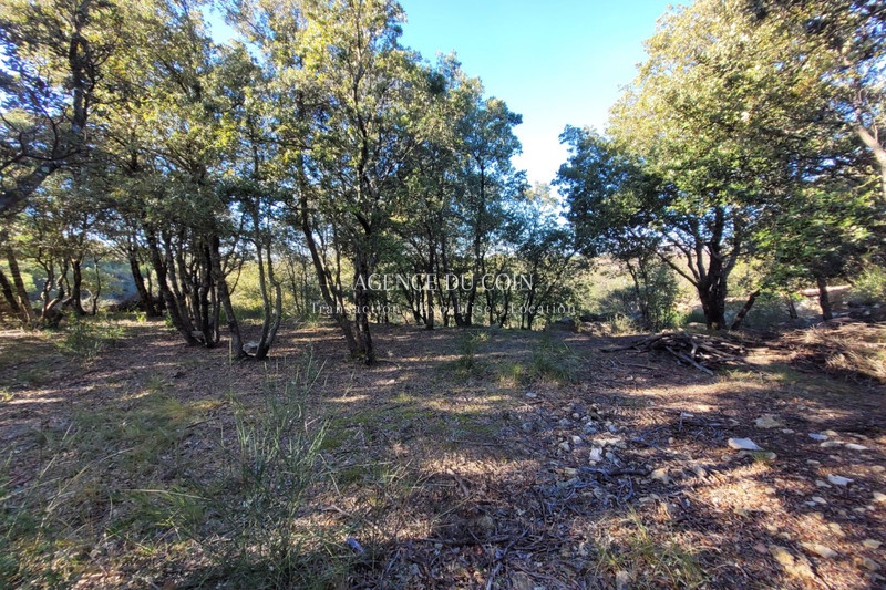 2 - plot of land for sale in tourtour var france