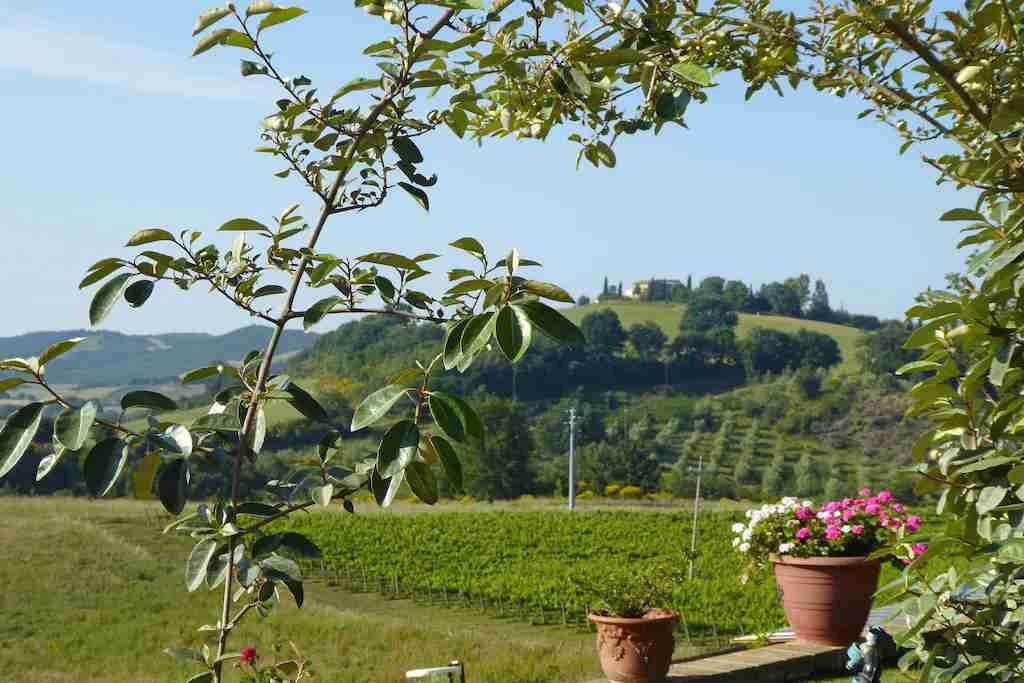 1 - verkoop winkel manciano tuscany italië