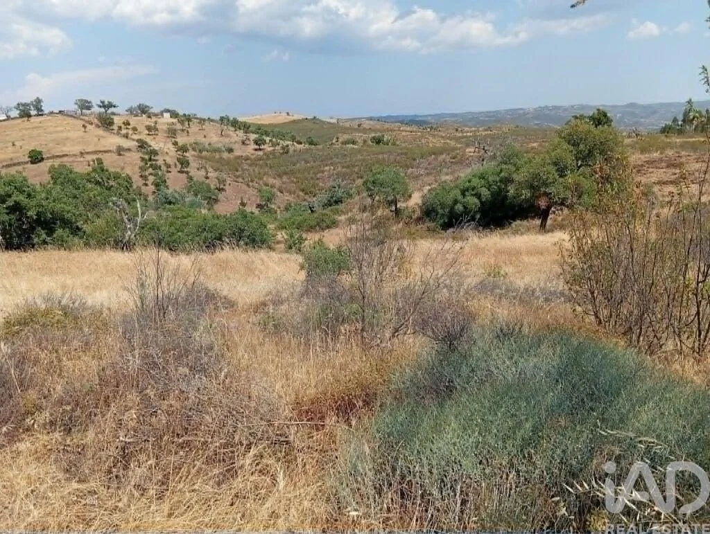 1 - vendita terreno almodôvar alentejo portogallo