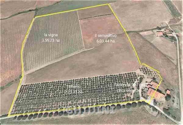 2 - venda espaço comercial castel del piano toscana itália