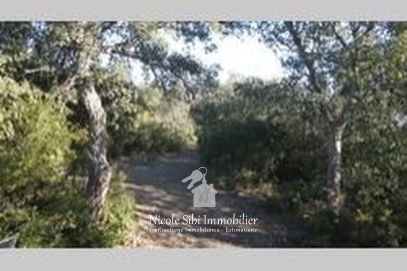 1 - verkoop terrein montauriol pyrénées-orientales frankrijk
