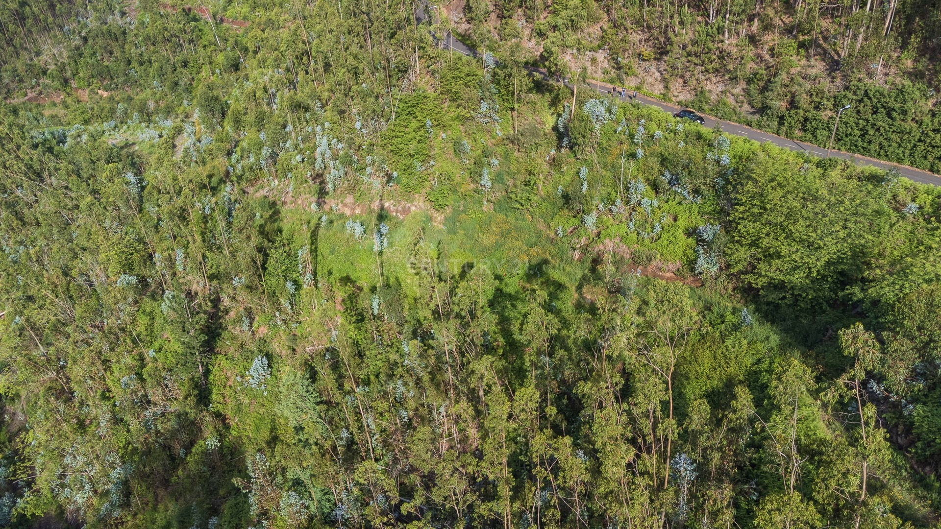 1 - venta terreno ribeira brava madeira portugal