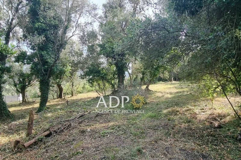 2 - plot of land for sale in grasse alpes-maritimes france