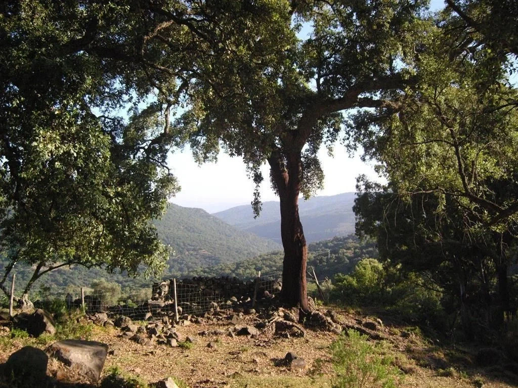 2 - venta terreno el colmenar andalucía españa