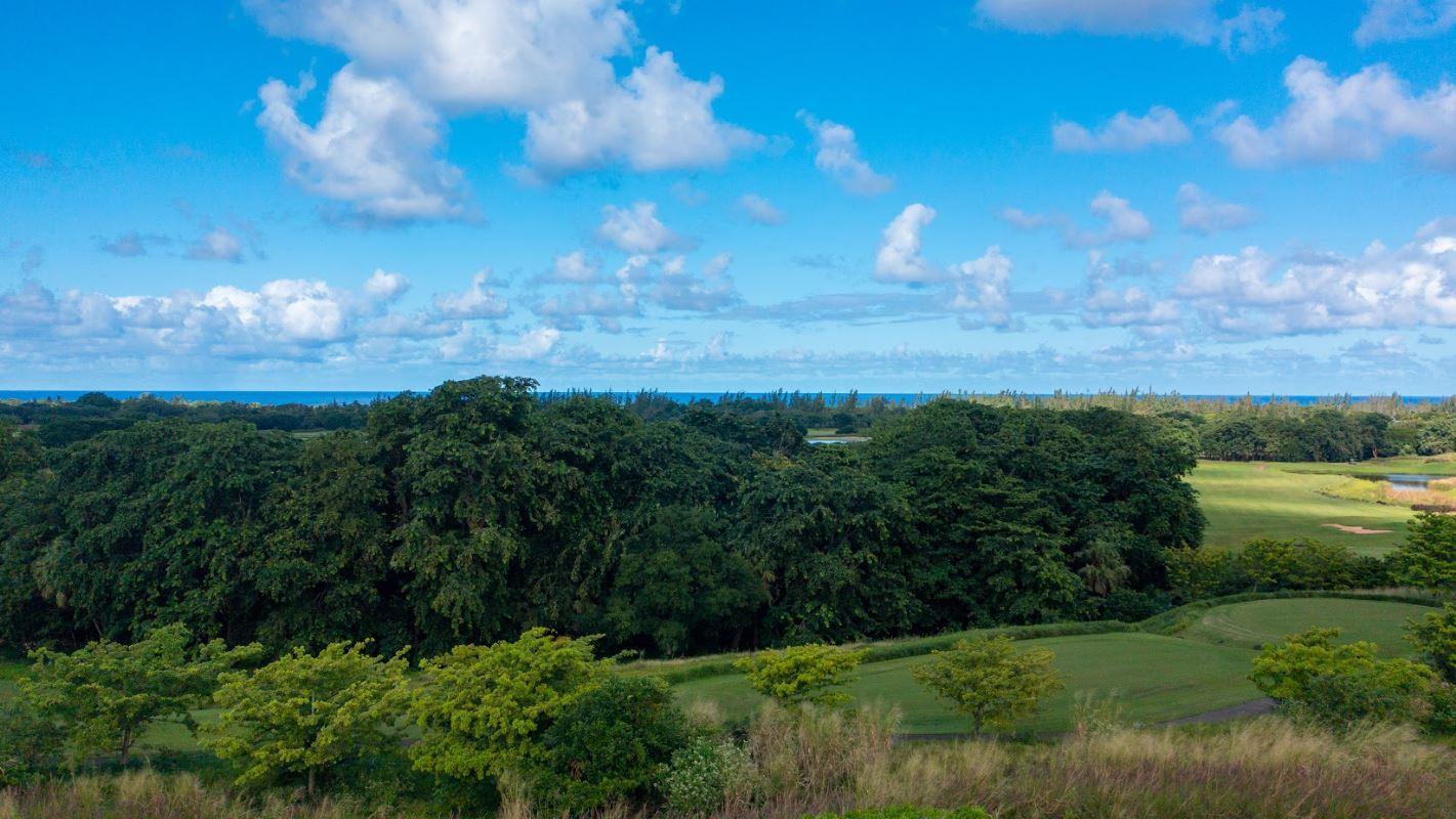2 - verkauf grundstück meerblick bel ombre savanne mauritius