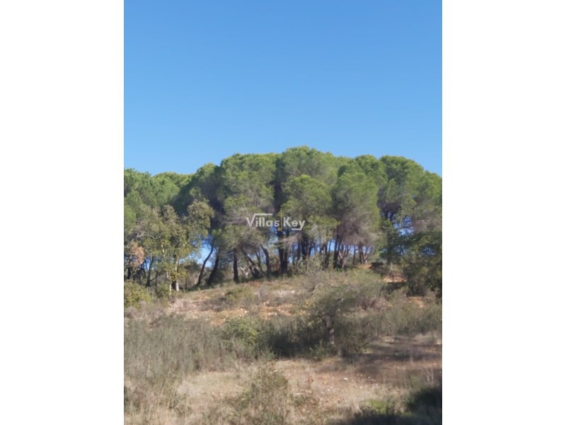2 - venta terreno silves algarve portugal