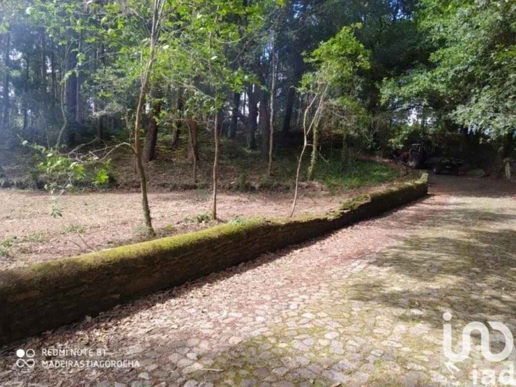 2 - vente terrain caminha e vilarelho région nord portugal