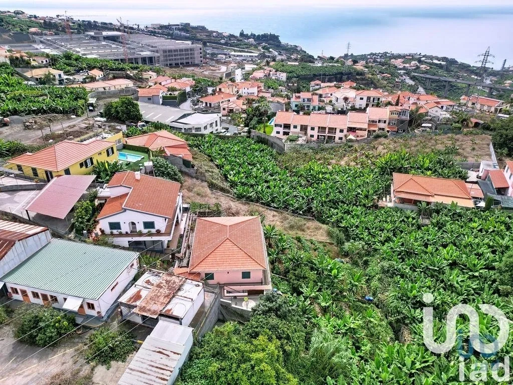 2 - vente terrain são martinho madère portugal
