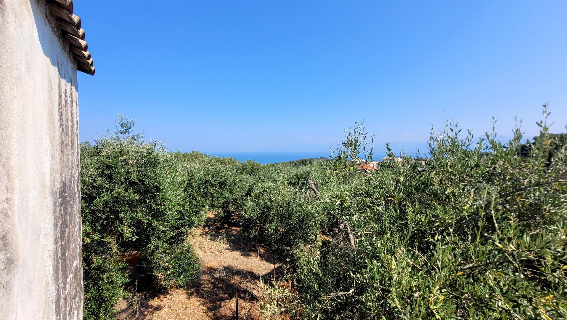 2 - sea view house for sale in corfu ionian islands greece