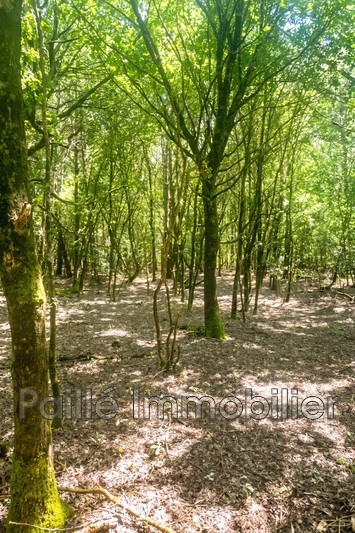 2 - venta terreno talais gironda francia