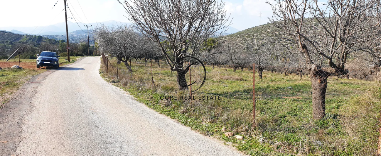 1 - vente terrain koropi attique grèce