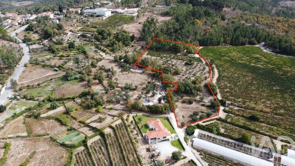 1 - plot of land for sale in germil north region portugal