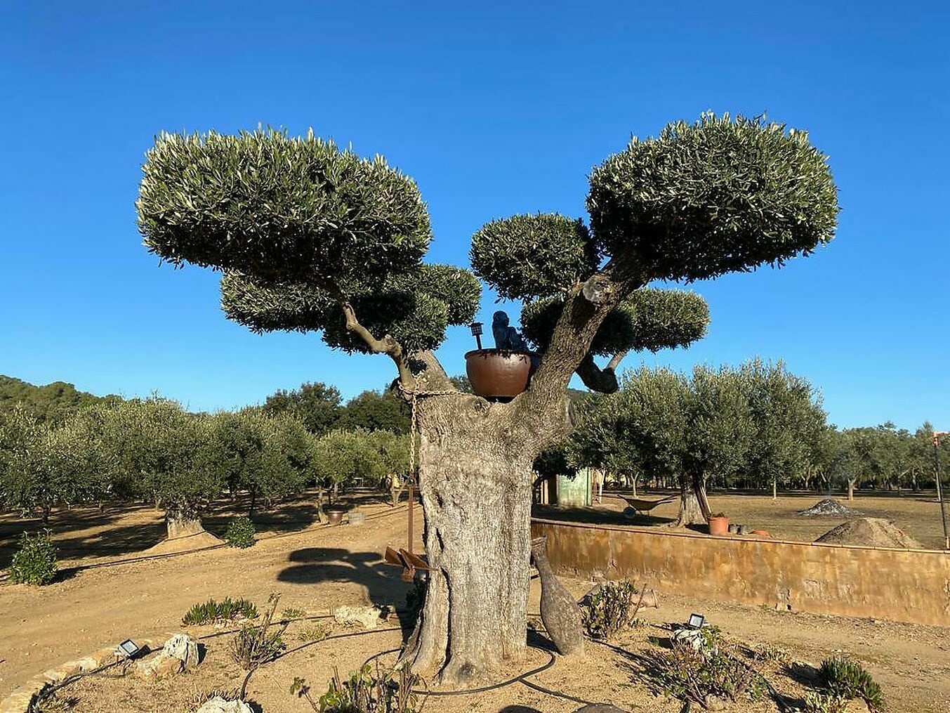 2 - venta terreno mont-ras - costa blanca cataluña españa