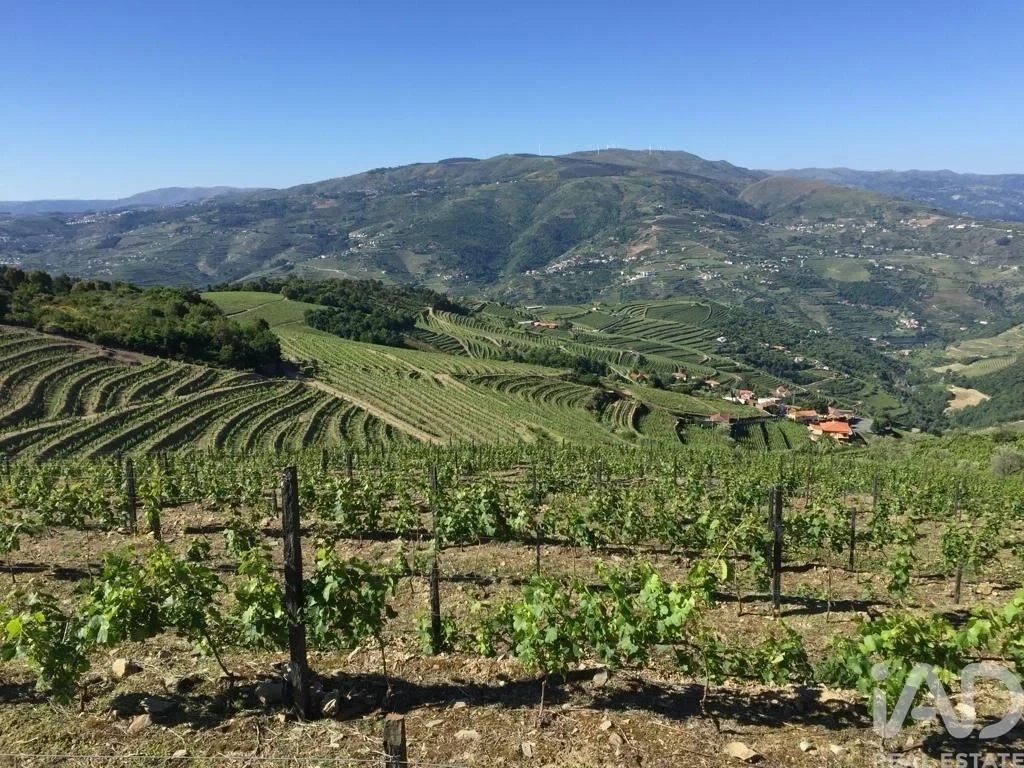 1 - vendita villa mesão frio regione nord portogallo