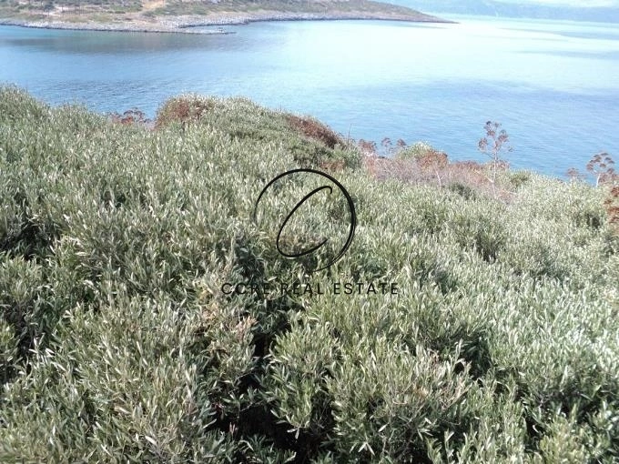 2 - vente île vue mer néa stíra grèce centrale grèce