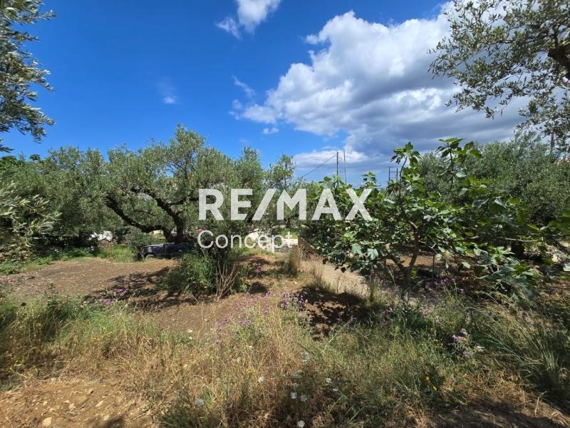 2 - venta terreno zante islas jónicas grecia