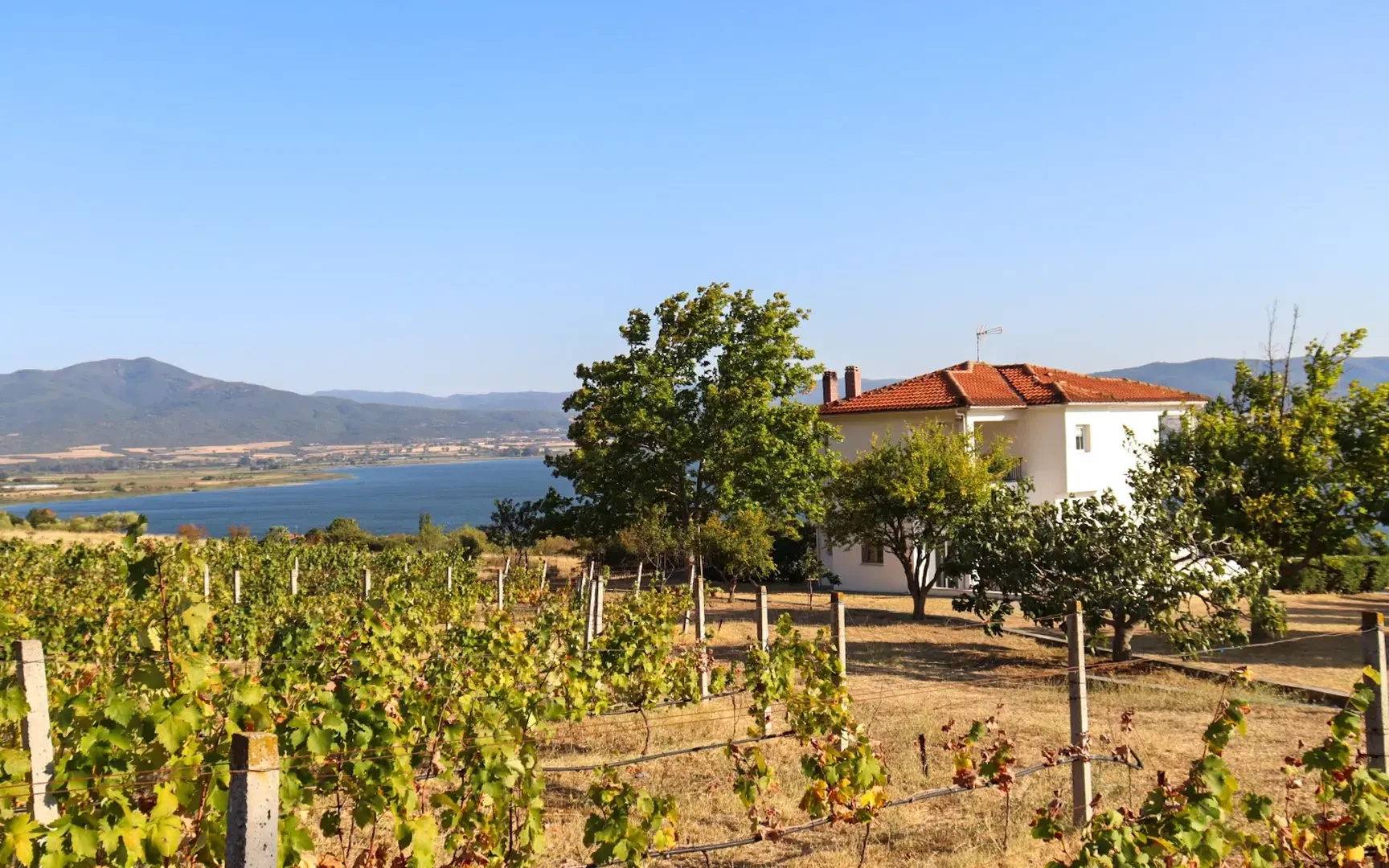 2 - verkoop landgoed strand to voet mikri vólvi centraal-macedonië griekenland