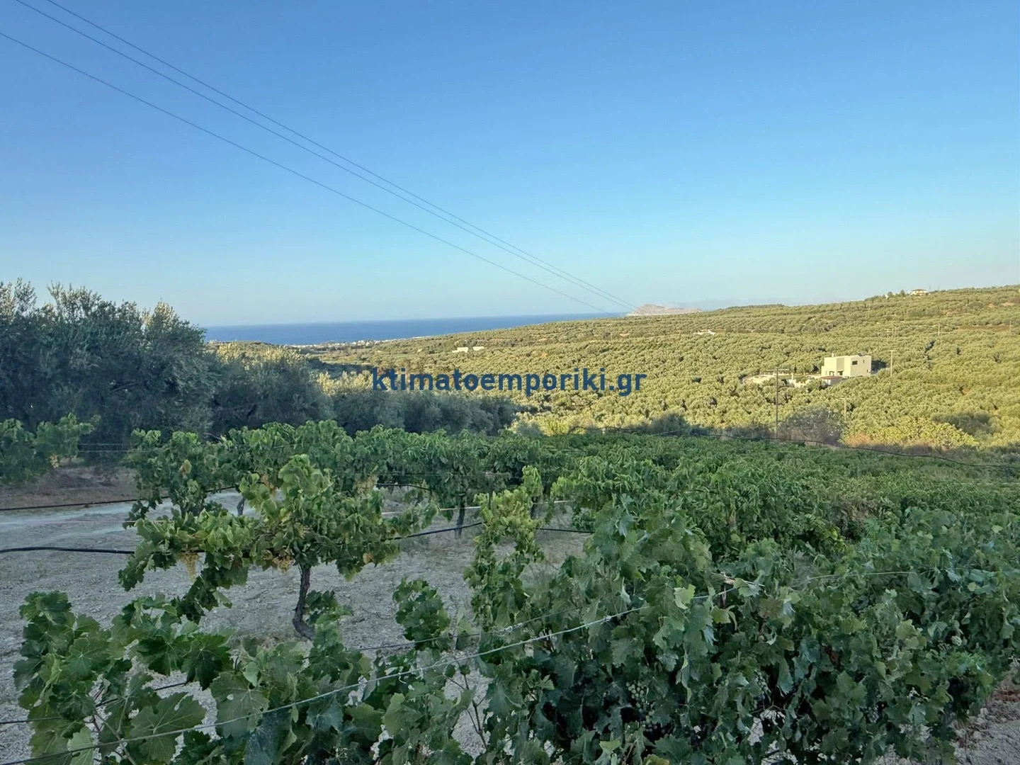 Terreno vista al mar de 3 800 m²