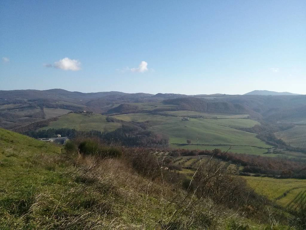 2 - business for sale in san casciano dei bagni tuscany italy