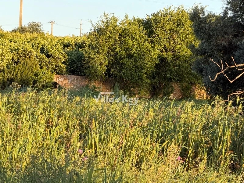 2 - vente terrain estoi algarve portugal