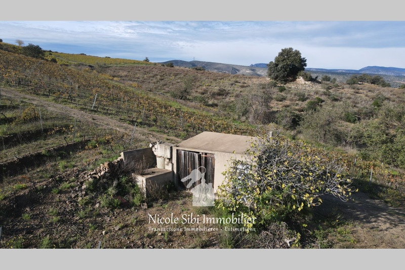 2 - verkoop terrein montner pyrénées-orientales frankrijk