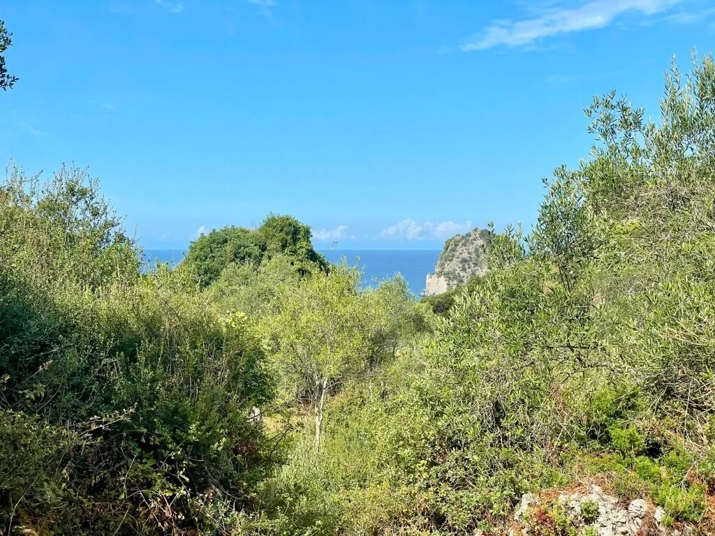 1 - vente terrain vue mer corfu îles ioniennes grèce