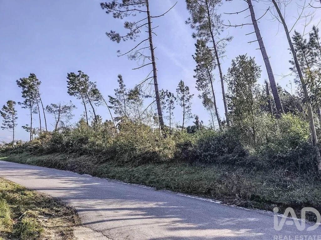 1 - plot of land for sale in leiria centro region portugal