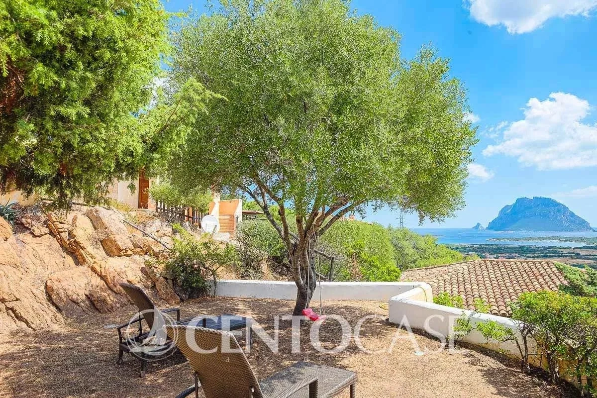 1 - house for sale in loiri porto san paolo sardinia italy
