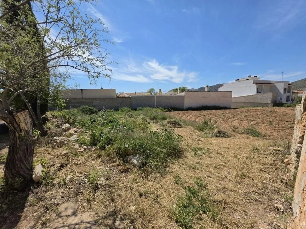 2 - verkoop terrein hondon de las nieves valencian community spanje