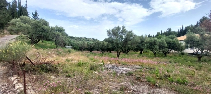 2 - vente terrain lefkada îles ioniennes grèce