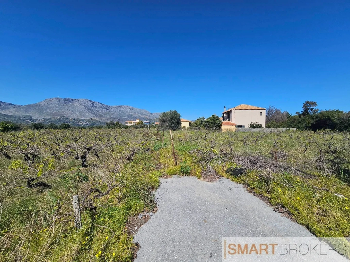 2 - vente terrain gorgolaini crète grèce
