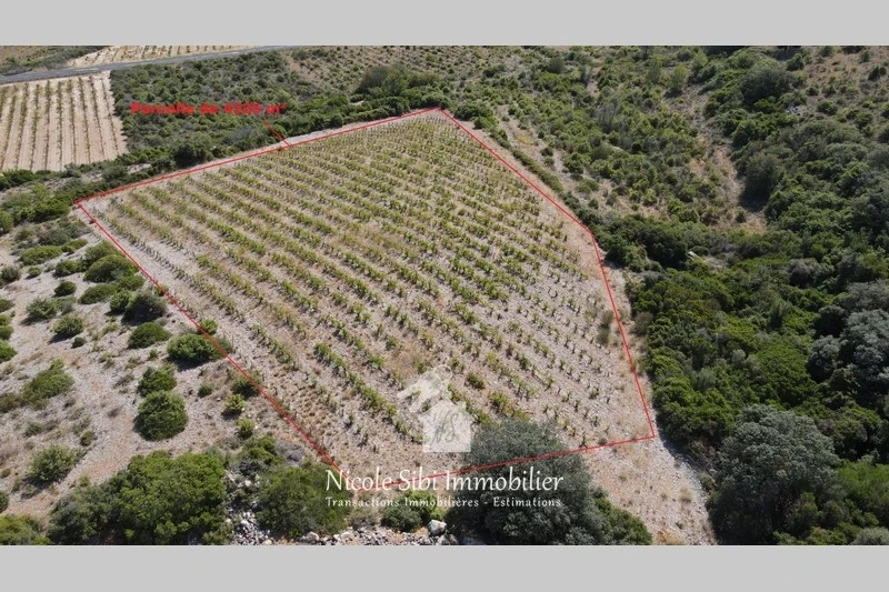 2 - venta terreno tautavel pirineos orientales francia