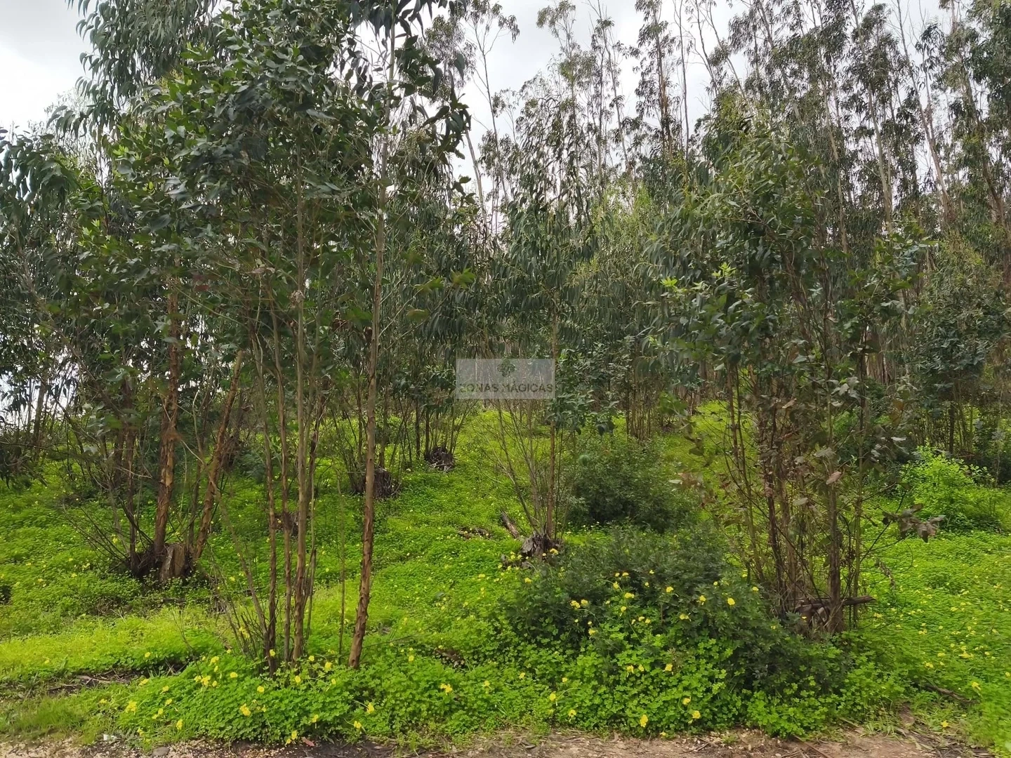 2 - plot of land for sale in vila do bispo algarve portugal