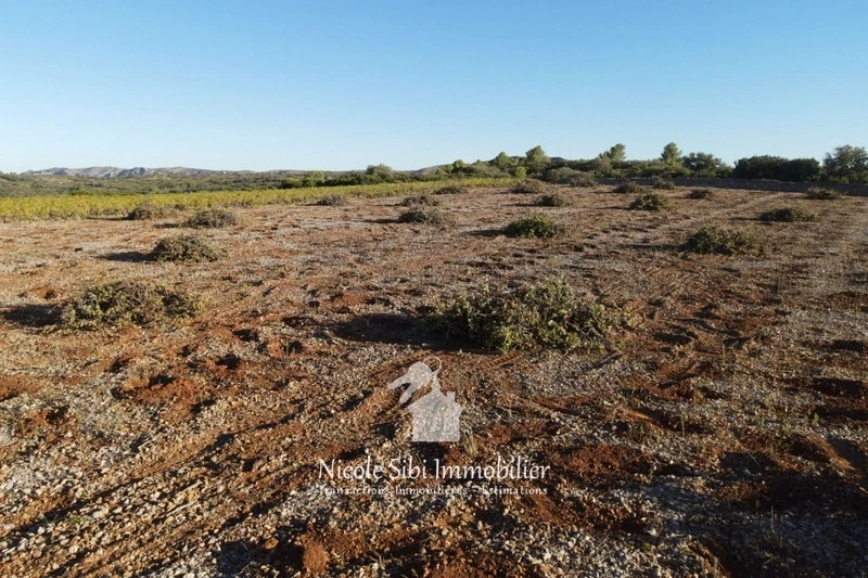 2 - venta terreno tautavel pirineos orientales francia