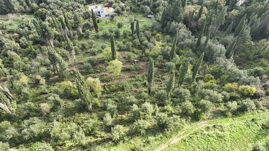 2 - vente terrain vue mer corfu îles ioniennes grèce
