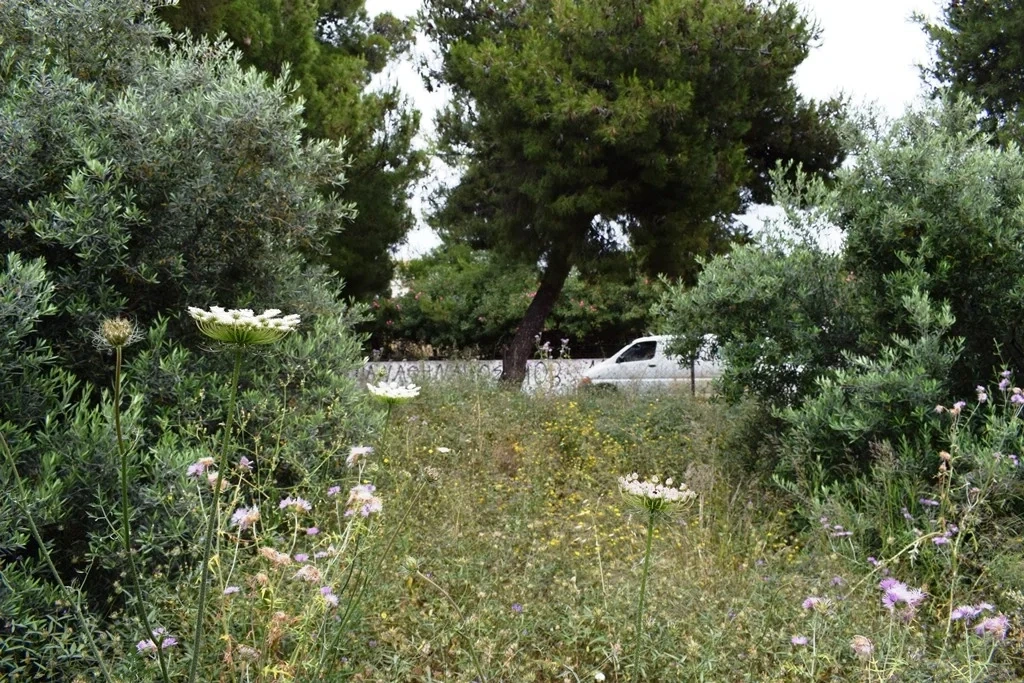 2 - venta terreno vista al mar chania creta grecia