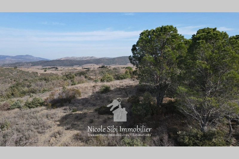 2 - vendita terreno montner pirenei-orientali francia
