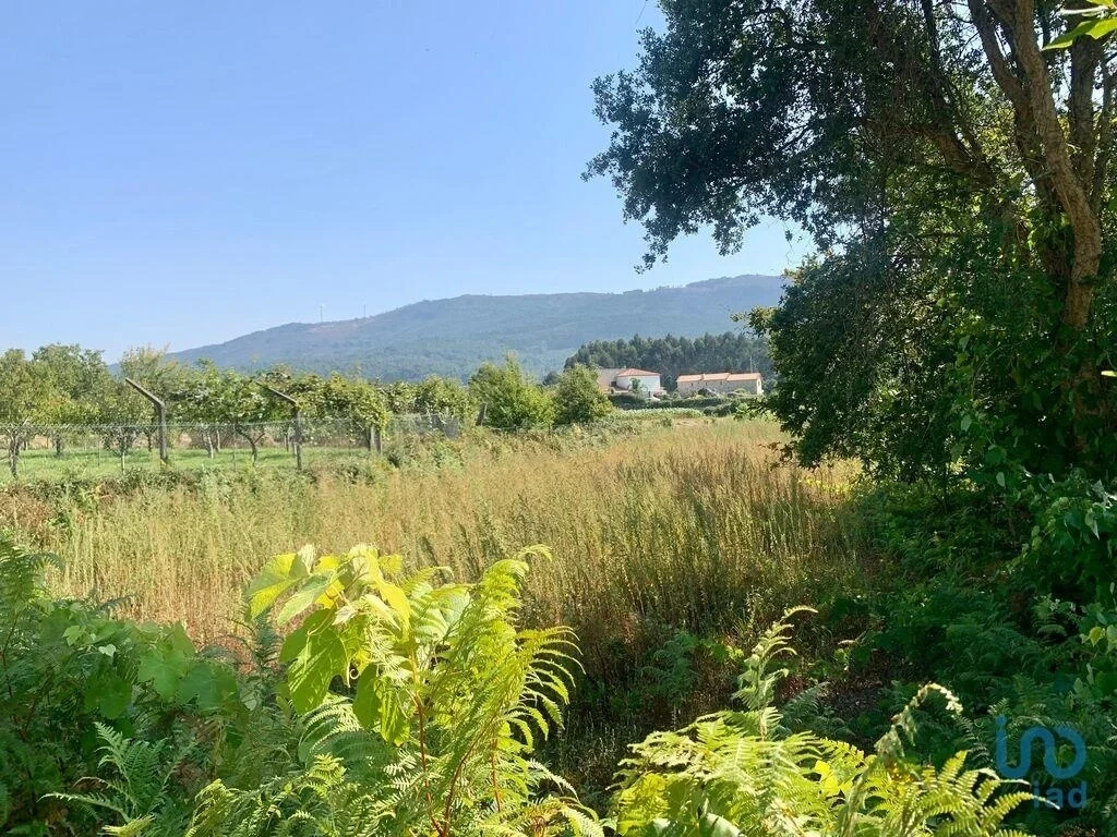 1 - plot of land for sale in caminha e vilarelho north region portugal