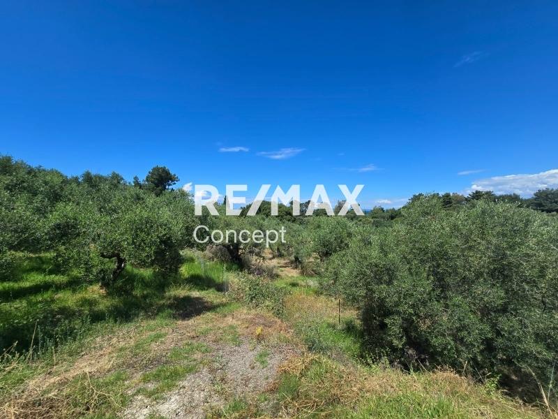 2 - venta terreno vista al mar zante islas jónicas grecia
