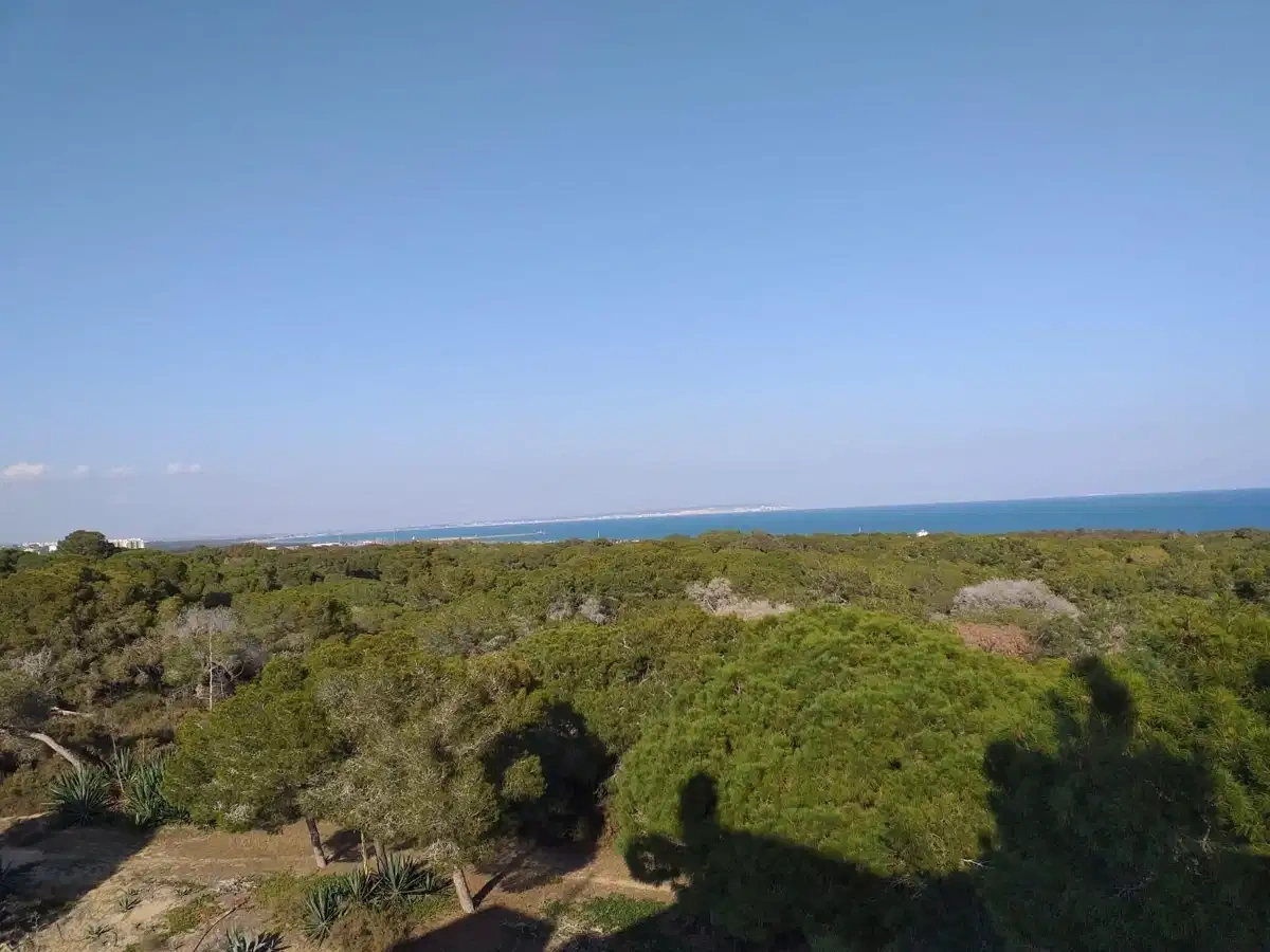2 - продажа квартира вид моря guardamar del segura валенсия испания
