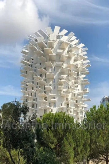 1 - apartment for sale in montpellier hérault france