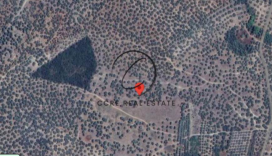 2 - vente terrain pelasgía grèce centrale grèce