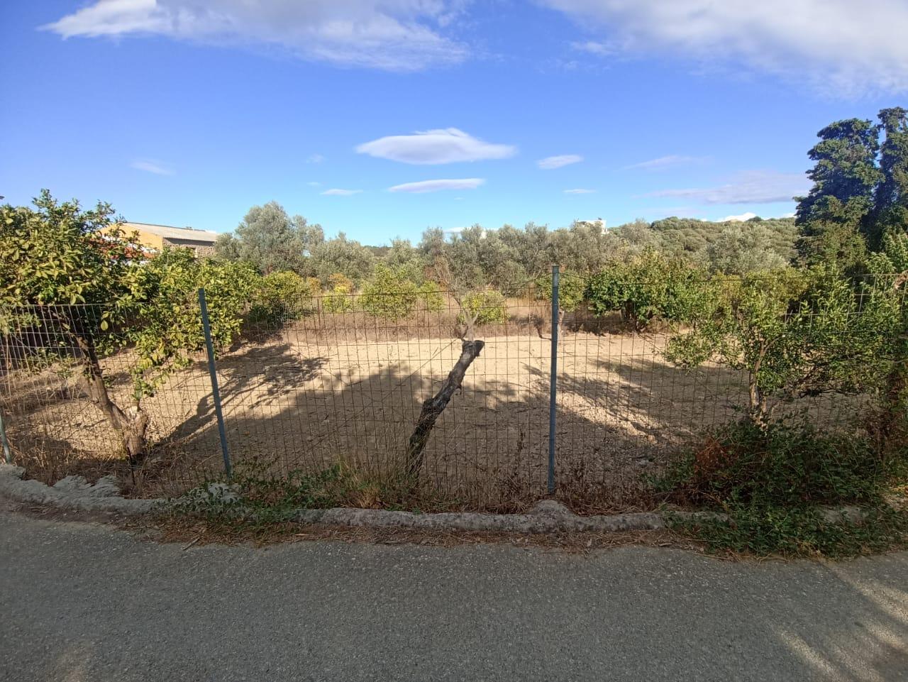 1 - vente terrain kontomári crète grèce