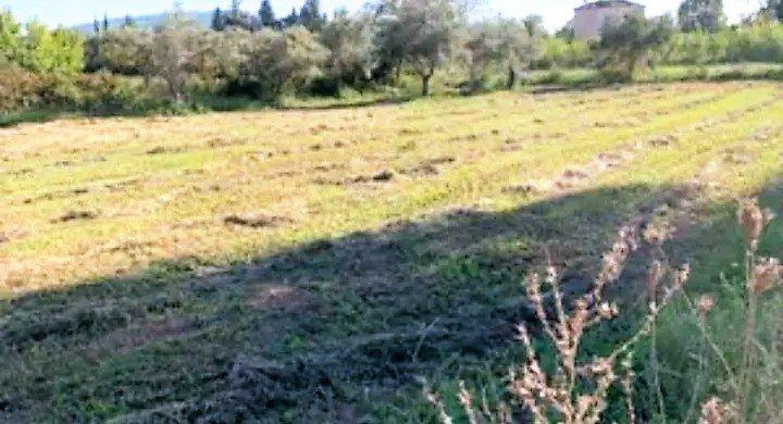 1 - venta terreno loutráki peloponeso grecia